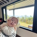 선바우 집 이미지