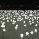 로즈가든 이미지