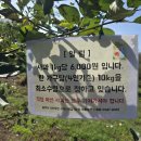 새봄농장(2) 이미지