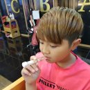 스펠라헤어메디컬 이미지