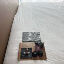 행운크리닝 | [호주 여행 숙소 후기] 리틀 내셔널 시드니 / 포터하우스 엠 갤러리 시드니 / 소피텔 멜버른