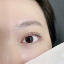 버니브로우 이미지