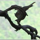 정상농장 이미지