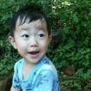 쇠평어린이공원 이미지