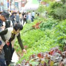 경북약업사 이미지