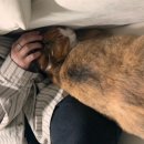 반포대로26길 73 이미지