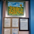 신월자동차정비공업사 이미지