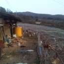 화양농장 이미지