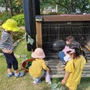 정들고펜션2 이미지