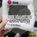 개스타그램 이미지