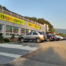 흙심흑염소 이미지