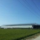 삼산면-3 이미지