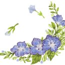 송죽낚시 이미지