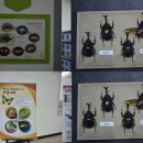에이스환경(주) 이미지