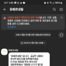 뮤에르네일 이미지