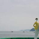 신비의바닷길,운림산림욕장,진도타워등 풍경 이미지