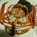 엑스포긴자 이미지