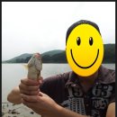 대궐낚시
