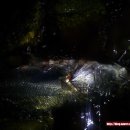 힛트랜드 이미지