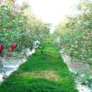 농부의 꿈 이미지