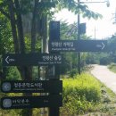 나무그늘 이미지