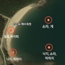 영흥북로 | &lt;1일차&gt; 급 떠난 1박2일 영흥도 대가족(11명)여행 후기 (파워 P가족)