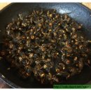 양봉-장수말벌의 노봉주-말벌의 노봉방주 만들기 이미지