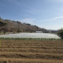 정촌면사무소 이미지