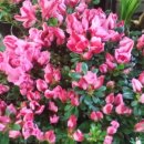 광주자동차 주식회사 이미지