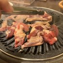 낙동생오리 이미지