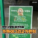 미나애견 | 천안애견카페 가까이그리고가만히, 강아지랑 쉬어가기 좋은 공간