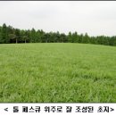 목초나라