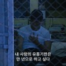 그린사랑 이미지