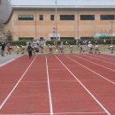 공설운동장(내) 이미지