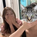 홈플러스 인하점(관리실) | 담양 펜션 스테이 휘경