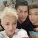 더타오 이미지