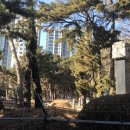 문희공유창묘역 이미지