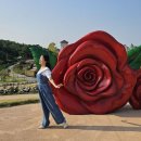 임실치즈테마파크3 이미지