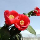 탄현1로 이미지