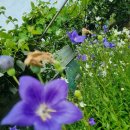 성립농장 이미지