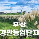 서  변 이미지