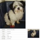 우암동물병원 이미지