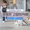부산 뷰좋은 고양이카페 다대포 나비정원