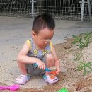 본가한의원 이미지