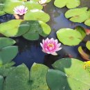 뜰과풍경 이미지