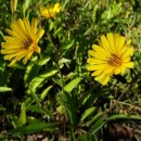 정다운재가노인복지센터 이미지