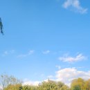 순천만국가정원 이미지