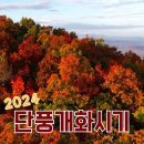 2024 전국 산 단풍 개화 시기 (+가을축제정보) 이미지