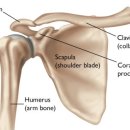 바디디자인(BODY DESIGN) 이미지