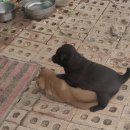 5월16일(금)/파주 심학산 종주+출판도시 숲길 물길 이미지